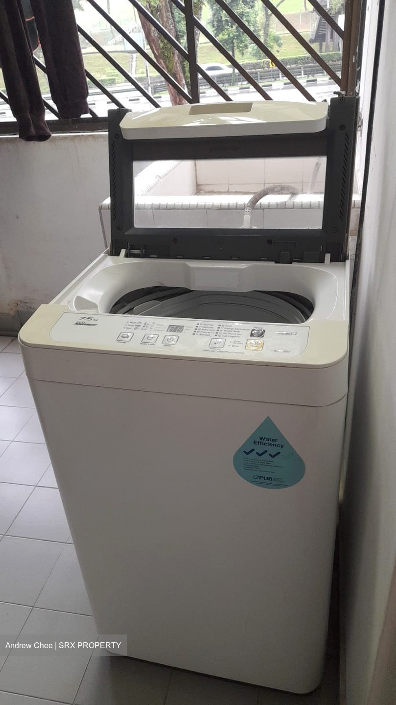 Pandan Valley (D21), Condominium #487840861